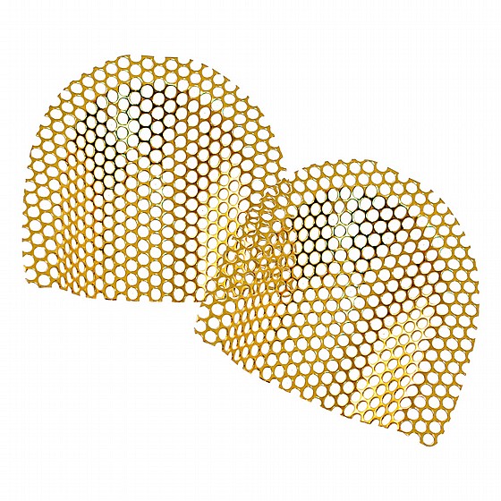 ��� ������ ����� ���� 24 ���� �������� Dentaurum Grid Strengthener Denture Base Acrylic Gold Plate