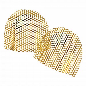 ��� ������ ����� ���� 24 ���� �������� Dentaurum Grid Strengthener Denture Base Acrylic Gold Plate