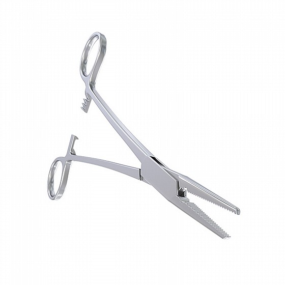 ����� ��� 15 �"�, ��� ��� Crile Wood