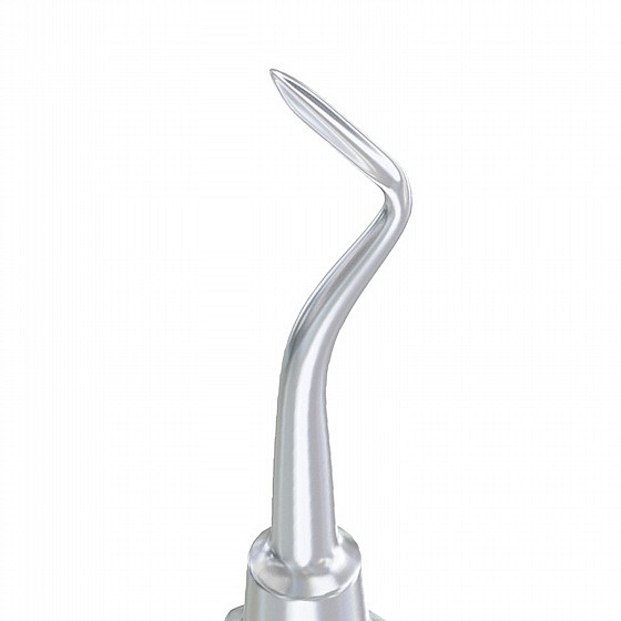 ���� ���� ����� �� ���� Root Elevator Flohr