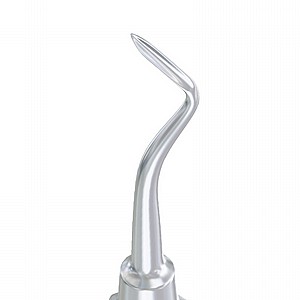 ���� ���� ����� �� ���� Root Elevator Flohr