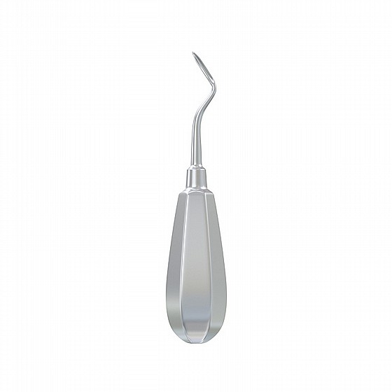 ���� ���� ����� �� ���� Root Elevator Flohr