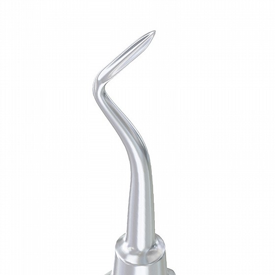 ���� ���� ����� �� ���� Root Elevator Flohr