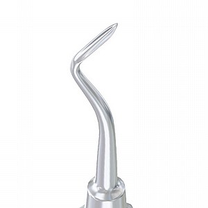 ���� ���� ����� �� ���� Root Elevator Flohr