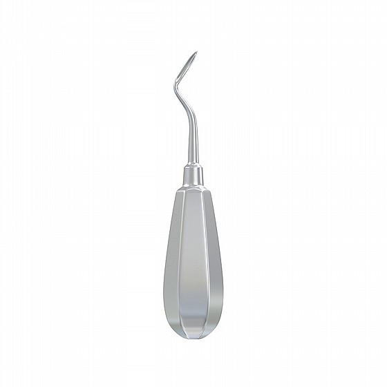 ���� ���� ����� �� ���� Root Elevator Flohr