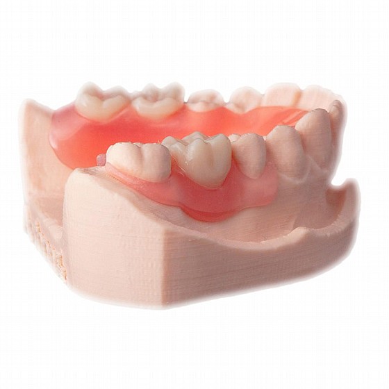 ����� ������� ������� ��� ���� DSI 3D Resin Gingiva Mask Gum Lab Model Printer LCD & DLP