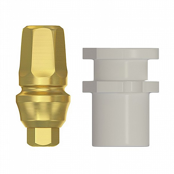 ���� ������ ������ ���� DSI Snap-On Concave Anatomic Impression Transfer 1.5-4.5mm