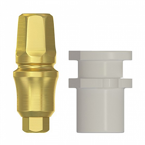 ���� ������ ������ ���� DSI Snap-On Concave Anatomic Impression Transfer 1.5-4.5mm