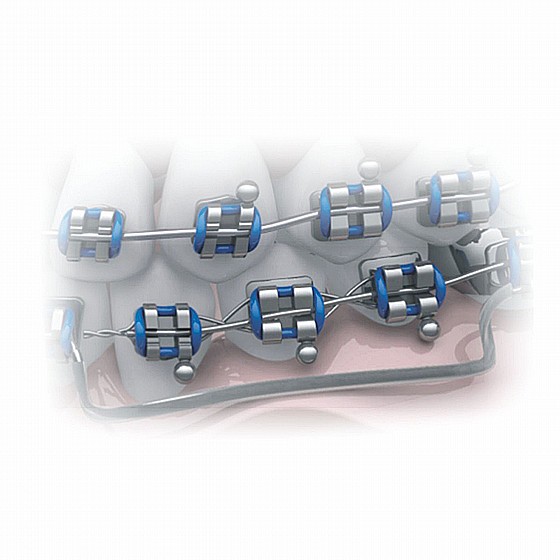 ����� ����� ��������� ����� ����� ����� Morelli Orthodontic Elastic Tube ? 0.75mm Archwire Protection 300mm