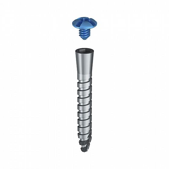 ���� GBR TENT SCREW ������� ������ + ������ ������� Bionnovation Biomedical MESH 