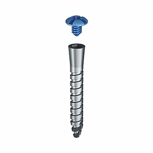 ���� GBR TENT SCREW ������� ������ + ������ ������� Bionnovation Biomedical MESH 