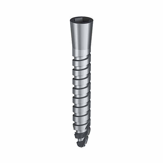 ���� GBR TENT SCREW ������� ������ + ������ ������� Bionnovation Biomedical MESH 