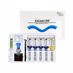 �� �������� ��������� ���-������� �������� ������ �������� Spident EsCom100 Light-Cured Nanohybrid Composite Resin Kit