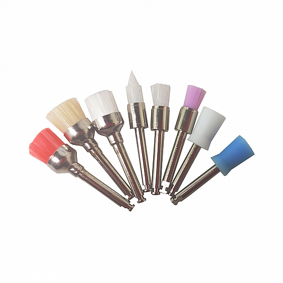 �� ������ ����� ����� ������� 100 ������ Dental Prophy Paste Brushes