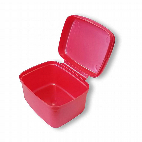 ����� ������ ������� ������ Wisdom Storage Case For Dentures