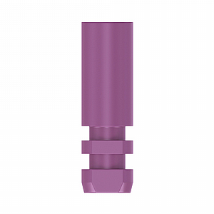 ����� ���� ������� Straumann� BLX Bone Level  ��� ����