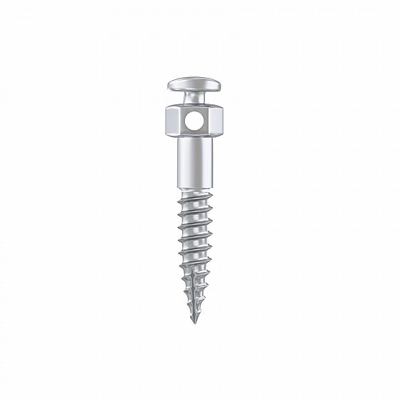 ���� ���� ���������� ������ �� ���� ���� ?2.0�"� BIO-RAY Orthodontic Mini Screw