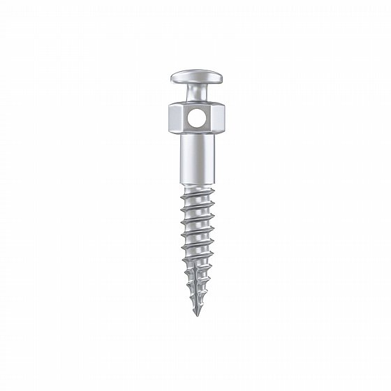 ���� ���� ���������� ������ �� ������� ������� ?2.0�"� BIO-RAY Orthodontic Mini Screw