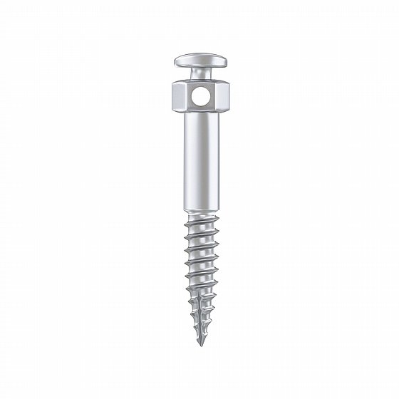 ���� ���� ���������� ������� ?2.0�"� BIO-RAY Orthodontic Zygomatic Mini Screw 