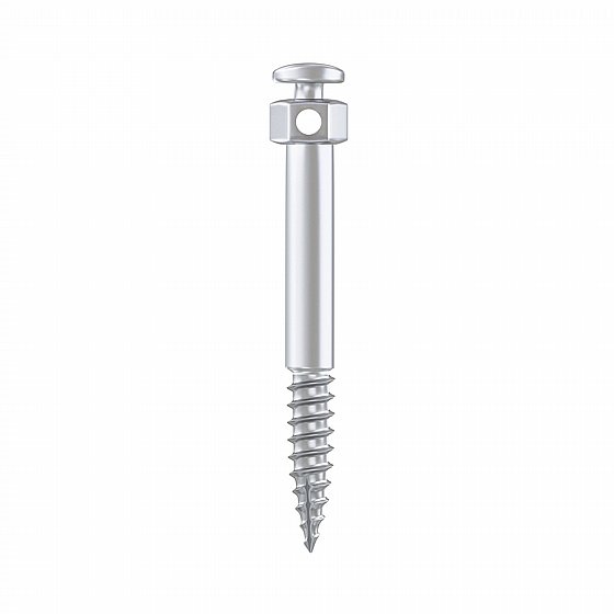 ���� ���� ���������� ������� ?2.0�"� BIO-RAY Orthodontic Zygomatic Mini Screw 