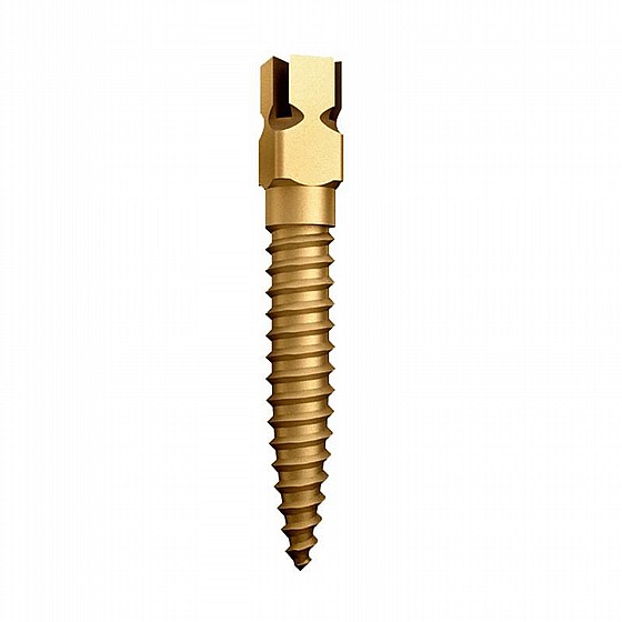 ���� ������ 12 �� ����� NORDIN DENTATUS