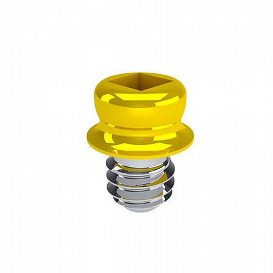 ����� �������� EQUATOR ������� �-CAD/CAM ������ ������� Rhein83 Equator Threaded Sleeve