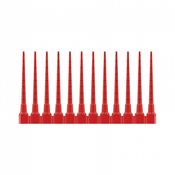 ����� ������ ����� ���� 60 �� DSI ROOT CANAL PINS