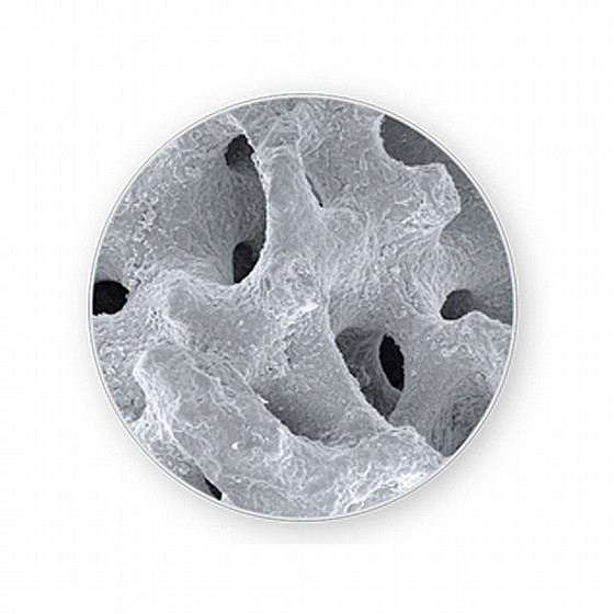 ��� ������� ����� ����� 2 �� COREBONE BIO ACTIVE CORAL BONE CONES