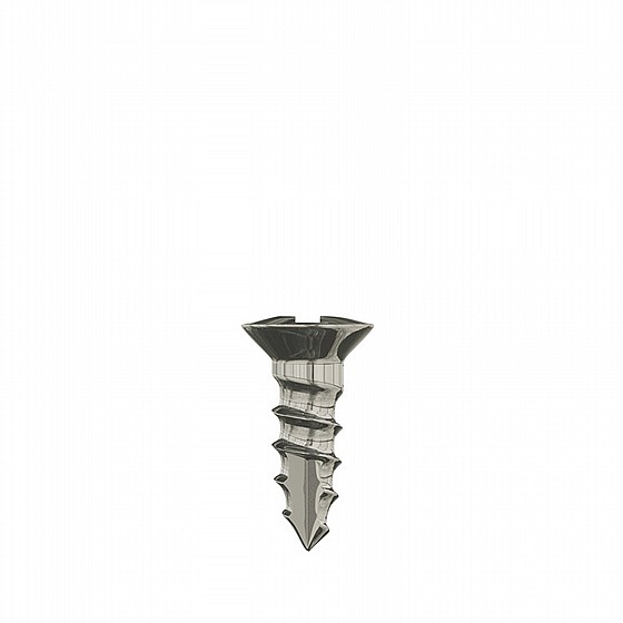 ���� ���� ����� ���� ������� ��.��.�� DSI GBR SELF-TAPPING SCREW