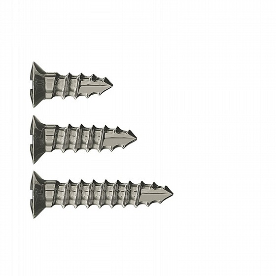 ���� ���� ����� ���� ������� ��.��.�� DSI GBR SELF-TAPPING SCREW