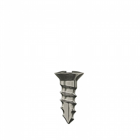 ���� ���� ����� ���� ������� ��.��.�� DSI GBR SELF-TAPPING SCREW
