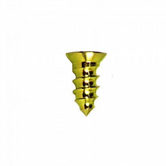 ���� ����� ���� ������� ��.��.�� DSI GBR SCREW