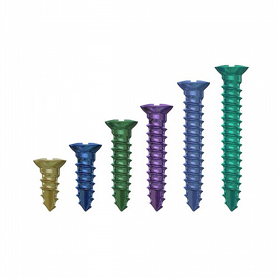 ���� ����� ���� ������� ��.��.�� DSI GBR SCREW