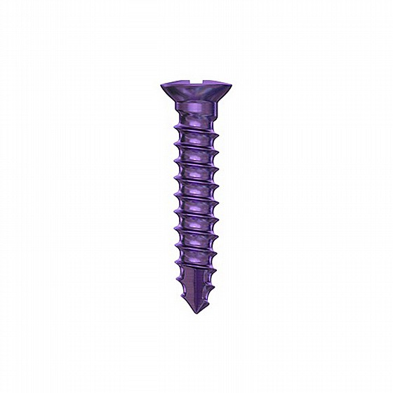 ���� ����� ���� ������� ��.��.�� DSI GBR SCREW