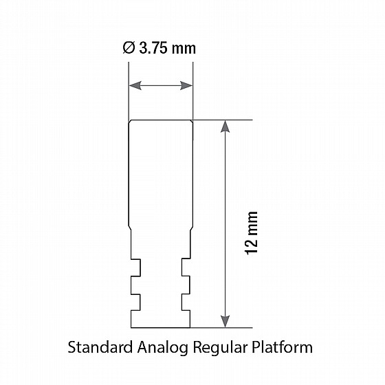 ����� ���� ����� ��� ����� 2.42 �"� DSI REGULAR ANALOG