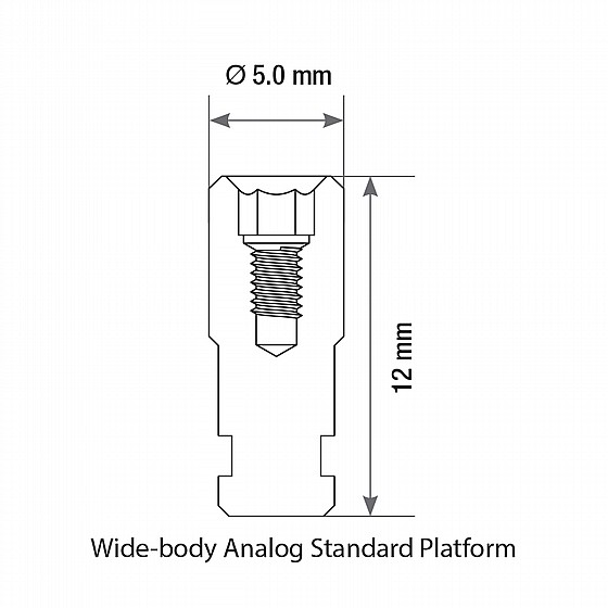 ����� ��� ��� ����� ��� ����� 2.42 �"� DSI ANALOG WIDE BODY