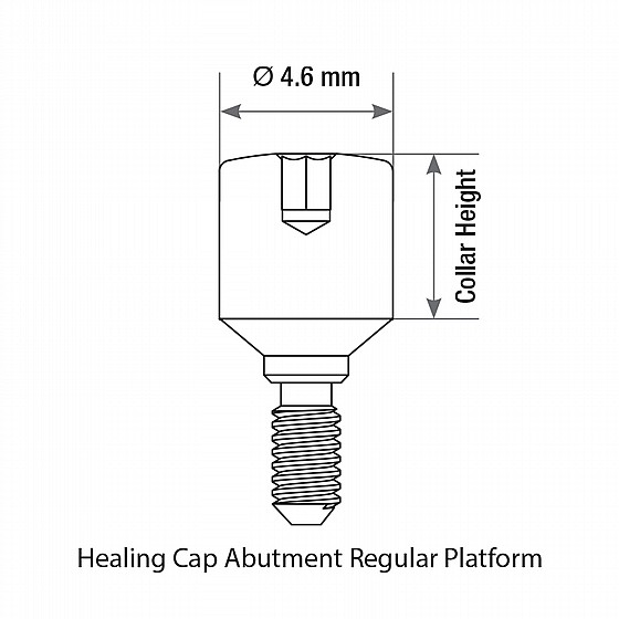����� ����� ������ ���� 4.6 �"� DSI STANDARD PLATFORM HEALING CAPS