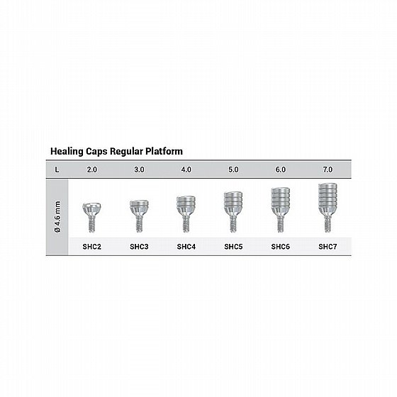 ���� ����� ������  ������ ��� 2.42�� ���� 4.6 �"� DSI STANDARD PLATFORM HEALING CAPS