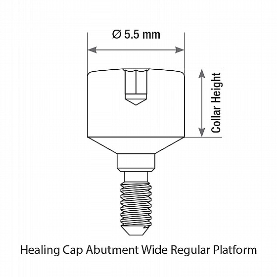 ����� ����� ����� ���� 5.5 �"� DSI WIDE BODY HEALING CAPS