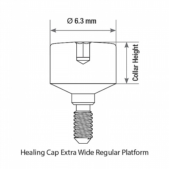 ����� ����� ������ ����� ���� 6.3 �"� DSI EXTRA WIDE BODY HEALING CAPS