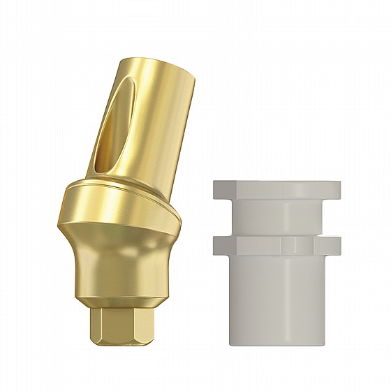 ������ ������ ����-��� ������ 15�/25� ����� 2.42 �"� DSI ANGULATED SNAP-ON TRANSFER