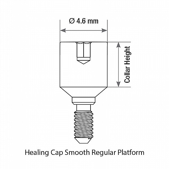 ����� ����� ����� ������ ���� 4.6 �"� DSI STANDARD SMOOTH HEALING CAPS