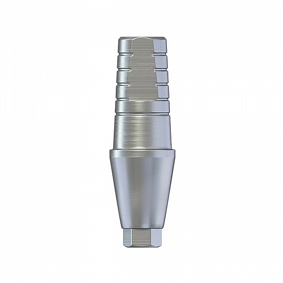 ���� ��� ����� ������ 1-4 �"� ����� 2.42 �"� DSI STRAIGHT SHOULDER ABUTMENT