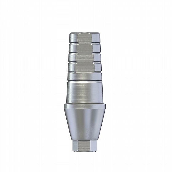 ���� ��� ����� ������ 1-4 �"� ����� 2.42 �"� DSI STRAIGHT SHOULDER ABUTMENT