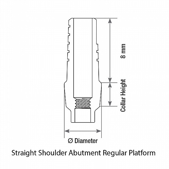 ���� ��� ����� ������ 1-4 �"� ����� 2.42 �"� DSI STRAIGHT SHOULDER ABUTMENT