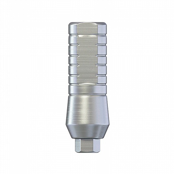 ���� ��� ��������� ��� ����� 2.0 �"� DSI STRAIGHT SLIM ABUTMENT