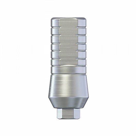 ���� ��� ��� 5.5 �"� ����� 2.42 �"� DSI STRAIGHT WIDE BODY ABUTMENT