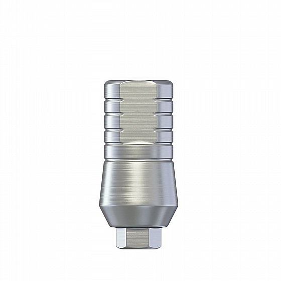 ���� ��� ��� 5.5 �"� ����� 2.42 �"� DSI STRAIGHT WIDE BODY ABUTMENT