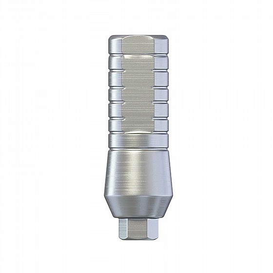���� ��� 4.6 �"� ����� 2.42 �"� DSI STRAIGHT ABUTMENT