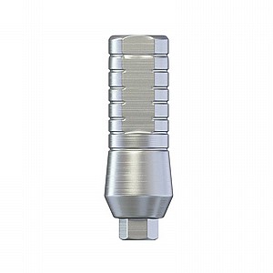 ���� ��� 4.6 �"� ����� 2.42 �"� DSI STRAIGHT ABUTMENT